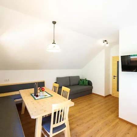 Bauernhof Mandlberger Apartment Schladming Exterior photo